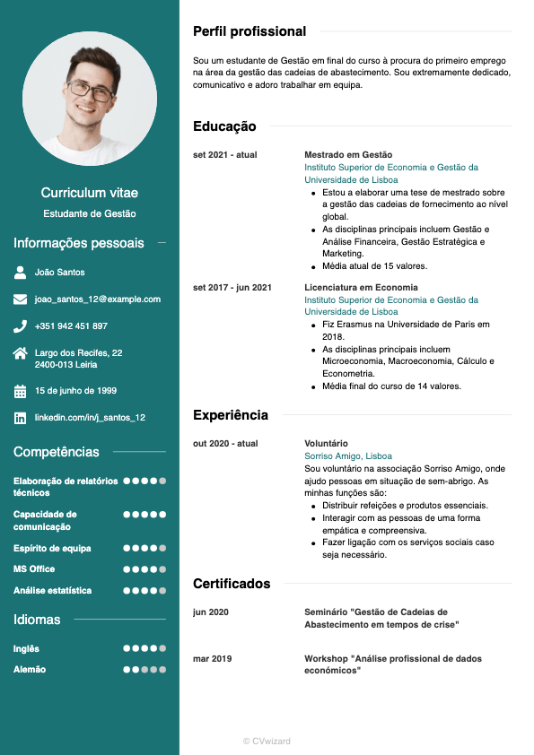 Template de currículo elegante